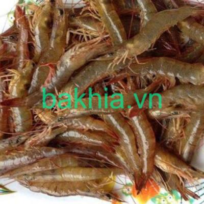 Tôm đất cấp đông